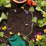 Marché de Fleurs et Plantes