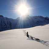 L'expé-rience nordique - cani-balade adulte