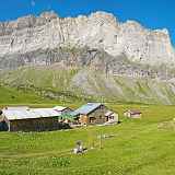 Observations et Echanges au refuge Alfred Wills