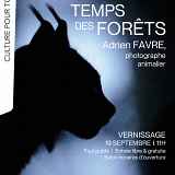 Exposition photo : Le temps des forêts