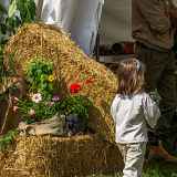 Folie(s) Végétales 2026 - Découverte de la laine, du cardage & du feutrage