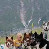 Atelier avec chiens de traineau