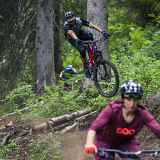 Descente du Bois de la Motte  - Piste VTT Descente N°12