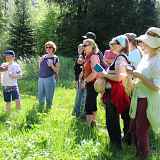 Comprendre et utiliser les plantes