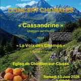 Concert chorales