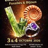 Bourse minéralogique avec fossiles et bijoux