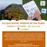 Le Lynx boréal, fantôme de nos forêts