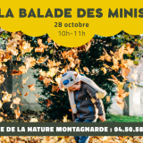 La balade des minis : Le mini arbre