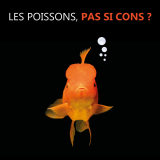 Projection documentaire - Les poissons, pas si cons !