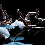 Cirque Chorégraphié : Le Lac des Cygnes