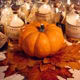 Atelier Citrouilles d'Halloween