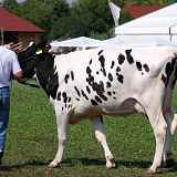 Foire agricole de rumilly