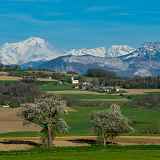Exposition photo "L’Albanais, balcon des Alpes"