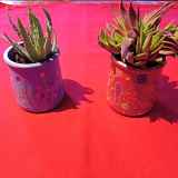 Atelier créatif : Décoration de pots en terre pour accueillir un petit cactus