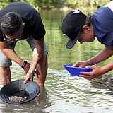Initiation à l’orpaillage