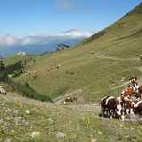 Randonnée pédestre : Aller-retour Aulp de Seythenex