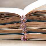 Dédicaces - rencontres d'auteurs à la bibliothèque-ludothèque Le Millefeuille