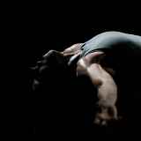 Spectacle Limbo & Jogo de Dentro