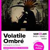 Théâtre : Volatile ombré