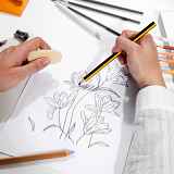 Cours de dessin avec Alicia