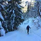 Piste de ski de randonnée : Bouquetin