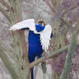 Théâtre : La Chambre claire / Espace Tully