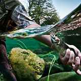 Parcours pêche "Le Chéran" - Boussy