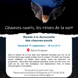 Chauves-souris, reines de la nuit