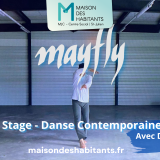 MAYFLY Stage Danse Contemporaine et DJ set