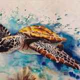 Agenda de la semaine en Haute-Savoie : Les événements à ne pas rater !