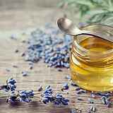 Atelier : Soin du montagnard