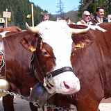 Foire de la Bathie