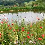Visite du Jardin et Pause Gourmande