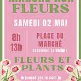 Vente de fleurs de Beaumont