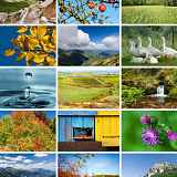 Exposition photo nature