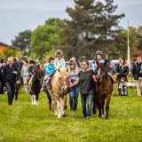 Folie(s) Végétales 2026 - Balade à poney