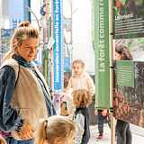 Exposition : Entre les branches