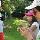 Balade-Jeux : Je découvre la forêt en m'amusant