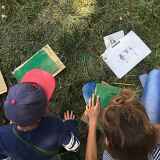 Balades des petits artistes
