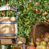 Fête de l'automne