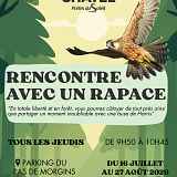 Rencontre avec un rapace