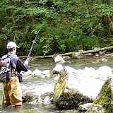 Parcours pêche, Le Brevon à Vailly