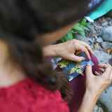 Atelier (grand) parent-enfant : crée ton herbier du printemps