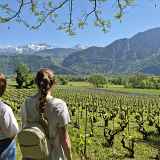Journées européennes du patrimoine 2026 : A la découverte du vignoble d'Ayze et du Gringet