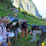 Stage de botanique perfectionnement