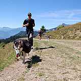 Sortie encadrée à la découverte de la Cani-randonnée