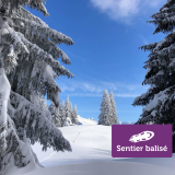 Fimaloz (Agy) - Randonnée hivernale