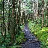 Balade familiale : La Nature sur les bords des chemins