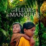 Ciné - Les fleurs du manguier