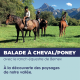 Promenade en poney et cheval